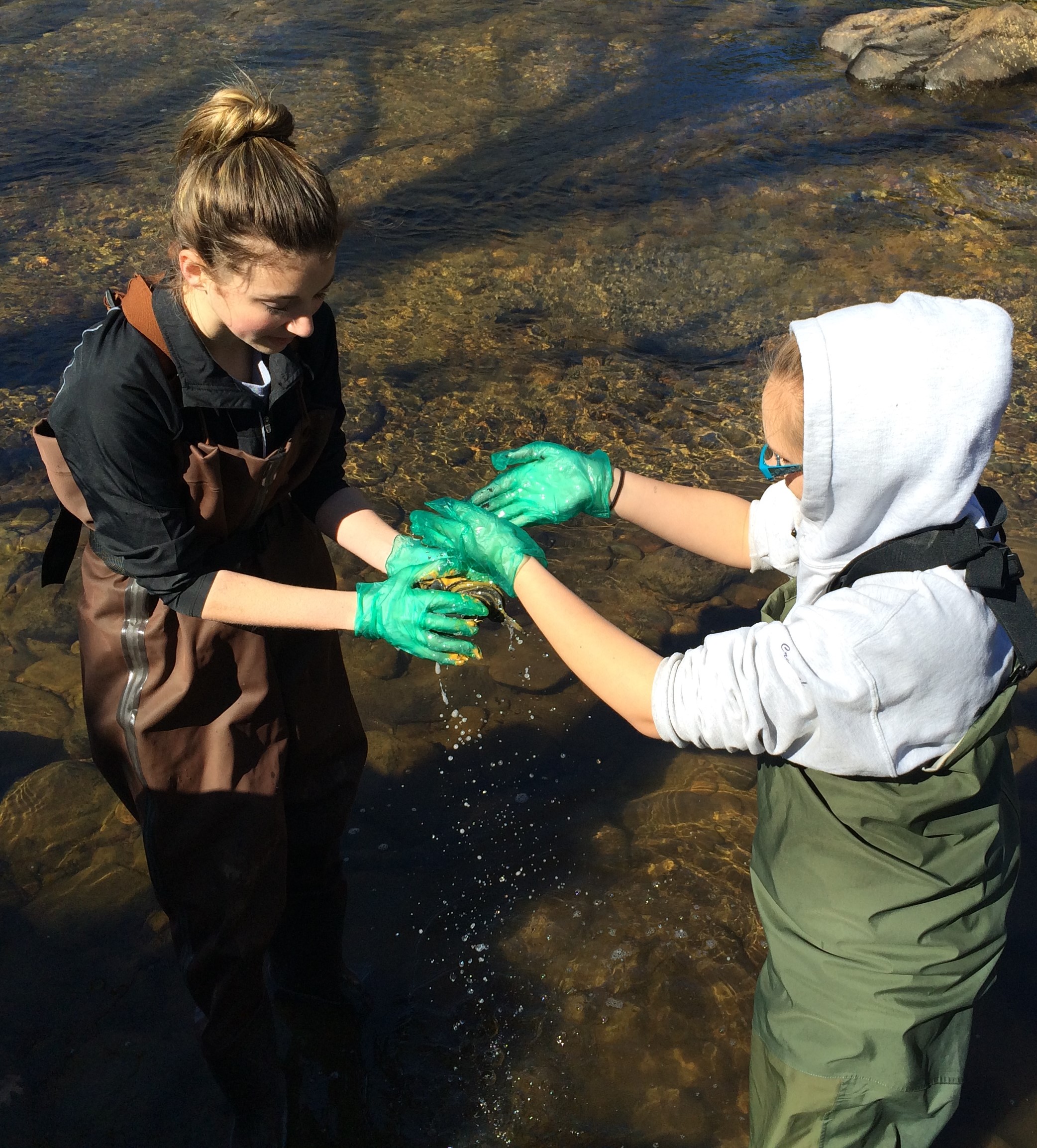 Bethel students study their watersheds