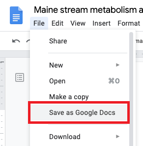 Google Drive Save as Google Doc image.