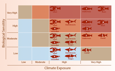 A Vulnerability Assessment of Fish and Invertebrates to Climate Change on the Northeast U.S. Continental Shelf