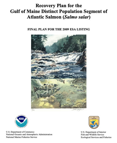 NOAA and USFWS Release Atlantic Salmon Recovery Plan