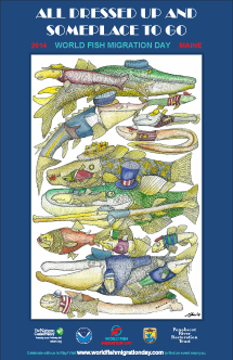 2014 Maine World Fish Migration Day Poster