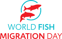 World Fish Migration Day