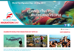 Official Website for World Fish Migration Day