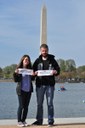 Alewives at the Washington Monument