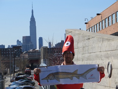 John Carter and Empire State Building and migratory FISH