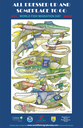 World Fish Migration Day Poster - Maine 2014