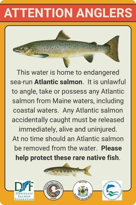 Atlantic salmon warning sign