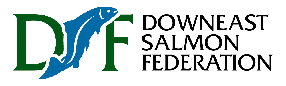 Downeast Salmon Federation logo