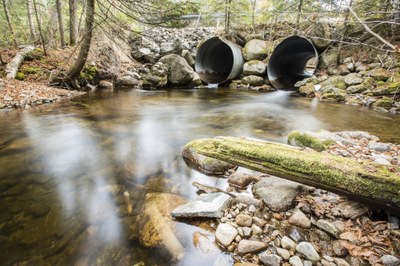 In New York, priorities for public safety and conservation converge at road-stream crossings