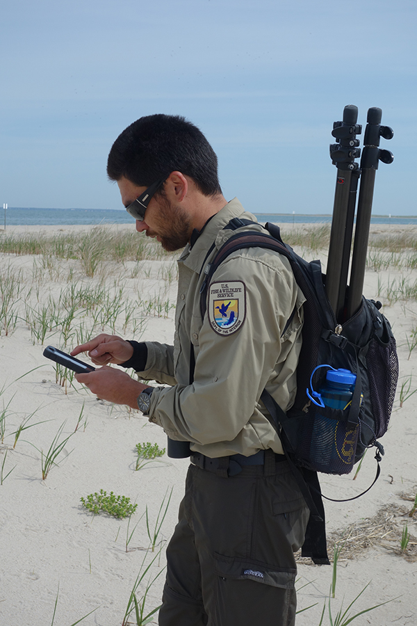 Shorebird science? There's an app for that