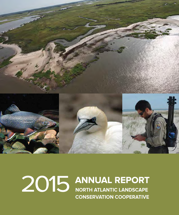North Atlantic LCC 2015 Annual Report