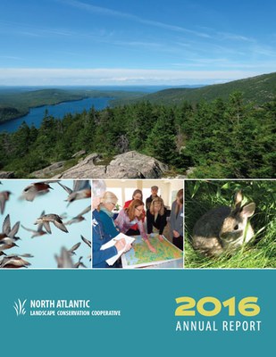 North Atlantic LCC Annual Report highlights conservation in action