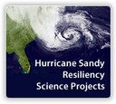 Preparing for future storms in the wake of Hurricane Sandy