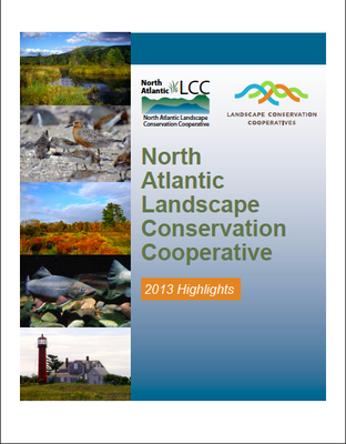 North Atlantic LCC Releases 2013 Highlights Report