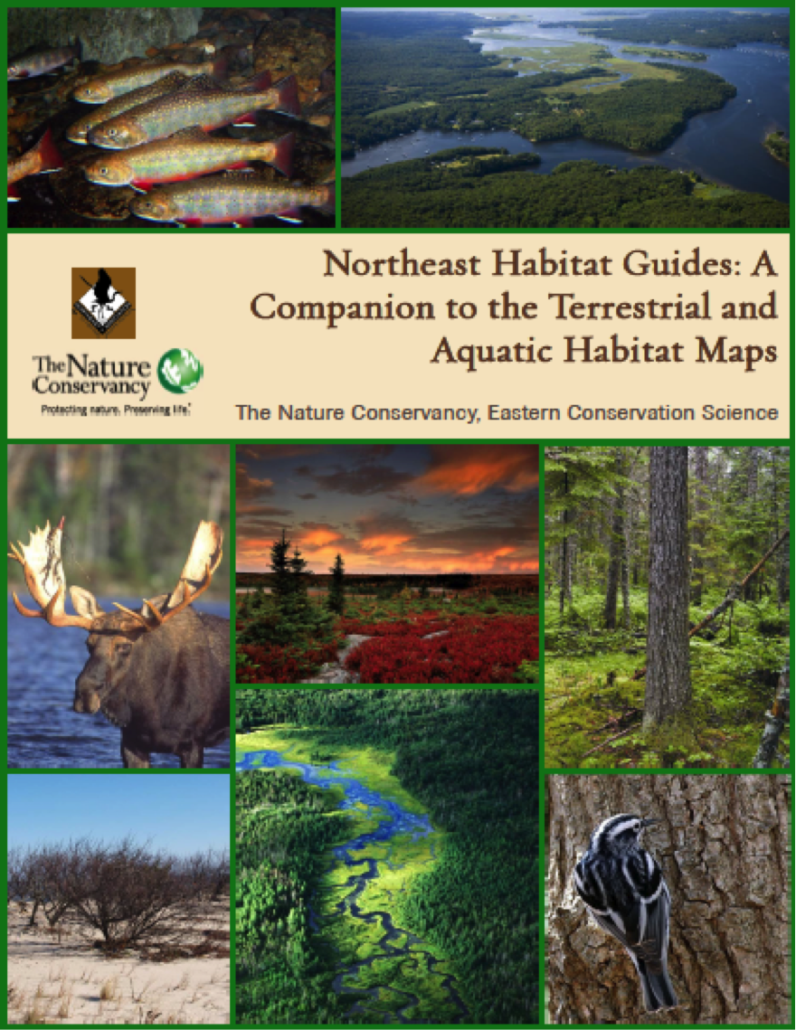 Northeast Habitat Guides Completed for Northeast Association of Fish and Wildlife Agencies