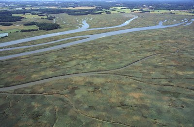 Partners identify resources for landowners in the path of marsh migration 
