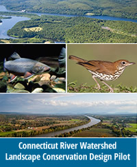 Update on the Connecticut River Watershed Pilot: Landscape Conservation Design in Action