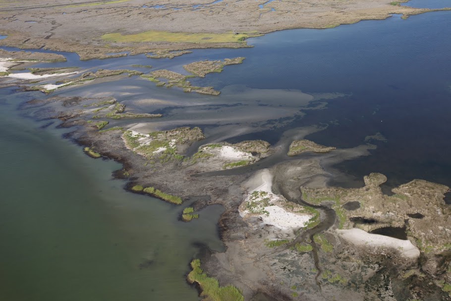 Workshop offers perspective on Hurricane Sandy marsh resiliency projects at multiple scales