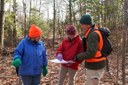 Kestrel Land Trust acquires 160 acres of "core area" in Massachusetts