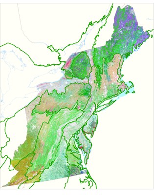 Virginia Piedmont and Coastal Plain Updates to Northeast Habitat Map 