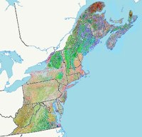 Extending the Northeast Terrestrial Habitat Map to Atlantic Canada