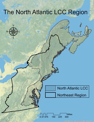 Page 2: Higher resolution North Atlantic LCC map