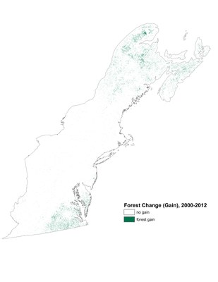 Forest Change Gain, 2000-2012, Northeast