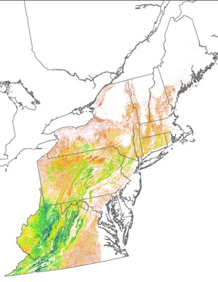 Landscape Capability for Cerulean Warbler, Version 2.0, Northeast