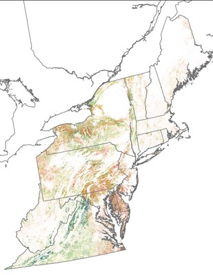 Landscape Capability for Eastern Meadowlark, Version 2.0, Northeast 