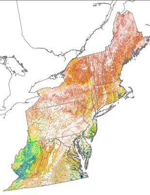Landscape Capability for Red-shouldered Hawk, Version 2.0, Northeast