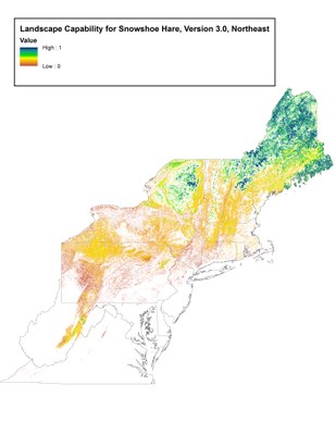 Landscape Capability for Snowshoe Hare, Version 3.0, Northeast 