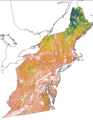 Landscape Capability for Wood Thrush, Version 3.0, Northeast U.S.