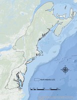 Ocean basemap with NALCC boundary