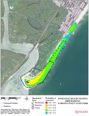 Protection of Critical Beach-nesting Bird Habitats in the Wake of Severe Coastal Storms