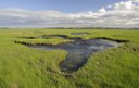 North Atlantic Marsh Resiliency Projects