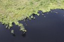 From aerial tour of Great Dismal Swamp National Wildlife Refuge, V.A. and N.C.