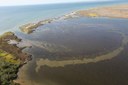 From aerial tour of Martin National Wildlife Refuge, M.D.
