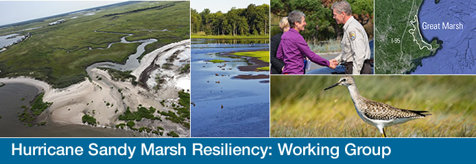A slideshow of aerial photographs from Hurricane Sandy Marsh Resiliency project sites