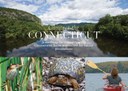 Connect the Connecticut Report